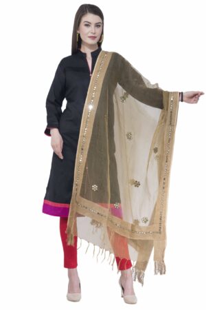 A R SILK Dark Golden Color Orgenza Flower Mirror Dupattas & Chunnis