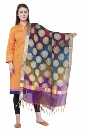 A R Silk Women’s Zari Embroidery With Rainbow Colour Vanarsi Silk Rainbow Multi Dupattas & Chunnis