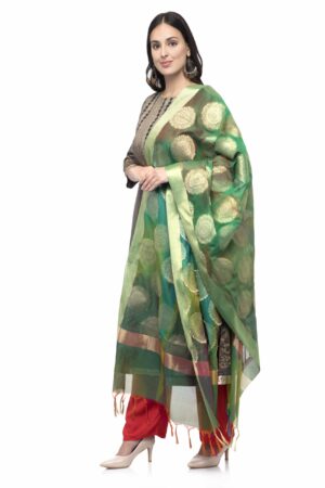 A R Silk Women’s Vanarsi Silk Zari Embroidery With Rainbow Colour Multi Rainbow Fancy Dupatta