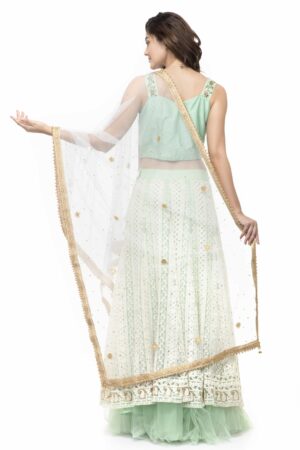 A R Silk Women’s Net Net Chandna Handwork With Moti Lace White Fancy Dupatta