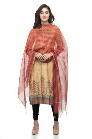 A R Silk Women’s Chanderi Zari Embroidery Multi Regular Dupatta