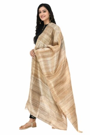 A R Silk Women’s Ghicha Silk Golden Self Design Dupatta # Fancy Dupatta