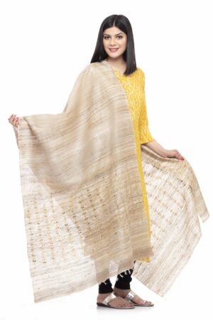 A R SILK Women’s Ghicha Silk Beige Zari Embroidery Dupatta # Party Wear