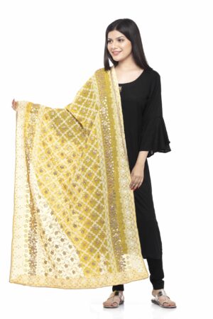 A R SILK Women’s Georgette Yellow Nett Lucknowi Embroidery Work Dupatta # Party Wear