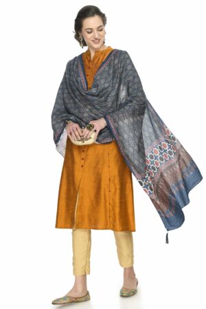 A R Silk Women’s Printed Multi Colour Cotton Regular Dupatta/Chunnis