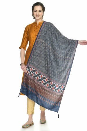 A R Silk Women’s Printed Multi Colour Cotton Regular Dupatta/Chunnis