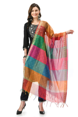 A R Silk Women’s VNS Golden Buti Faccy Dupatta