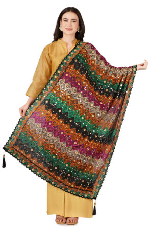 A R Silk DUPATTA HUB Chinnon Heavy Mirror Work,Fancy Lace and Fancy Latkan Phulkari,Designer and Weeding Multicolour Fancy Dupatta(ARS01139)